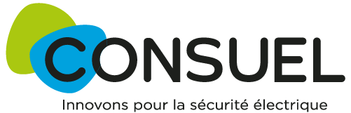 Logo_consuel-1